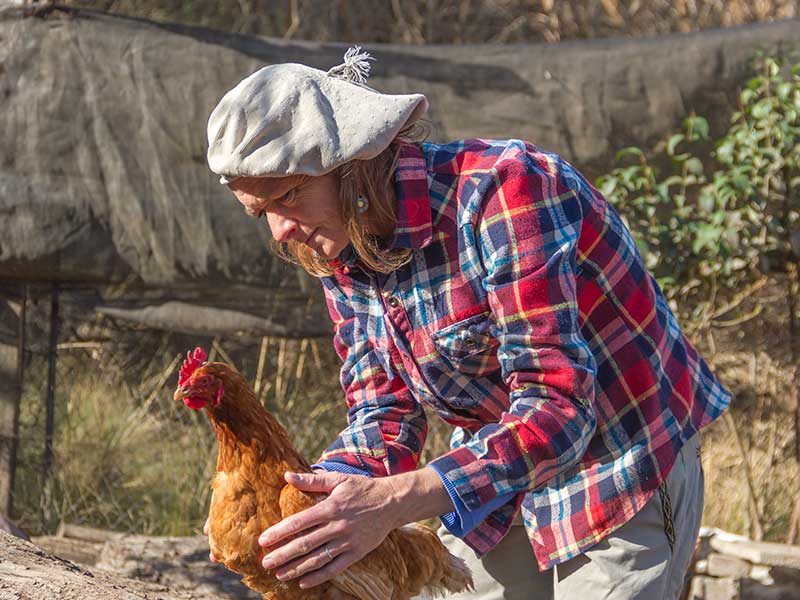 From Soil to Soul: How Organic Food Nourishes Body and Mind at Vedik Green