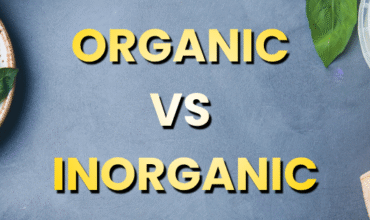 vedik green Blog (5) vedik green Blog (5)