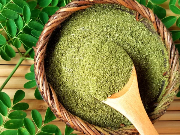moringa1