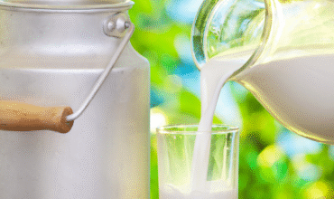 vedik green Blog (12) vedik green Blog (12)